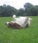 click for a larger view